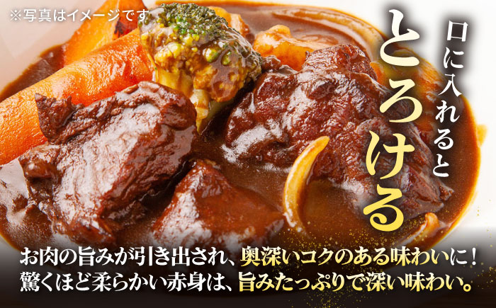 【全2回定期便】 特選 壱岐牛 すね肉 500g（カレー・シチュー用）《壱岐市》【太陽商事】 肉 牛肉 黒毛和牛 ブランド牛 カレー シチュー 赤身 チマキ 煮込み ブロック 国産 九州 [JDL127]