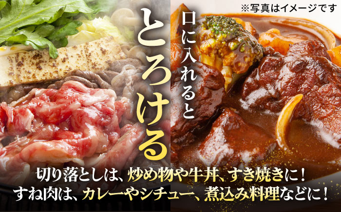 【全2回定期便】 特選 壱岐牛 切り落とし（450g）＆すね肉（300g）《壱岐市》【太陽商事】 肉 牛肉 切り落とし 切落し 薄切り すき焼き しゃぶしゃぶ カレー シチュー 煮込み 定期便 [JDL128]