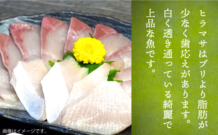 【全6回定期便】ヒラマサフィレ 約1～1.5kg（半身）《壱岐市》【なかはら】[JDT040] ヒラマサ フィレ 柵 刺身 刺身ブロック 刺し身 切身 冷凍 海鮮 海鮮丼 162000 162000円 冷凍配送