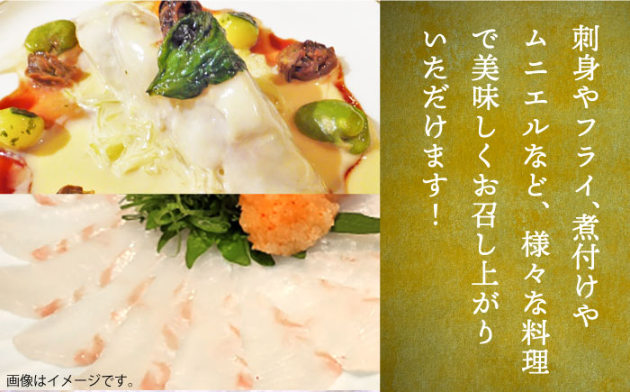 【全2回定期便】ヒラメフィレ 約400g（1尾・1kg台前後）《壱岐市》【なかはら】 [JDT069] ヒラメ ひらめ フィレ 柵 刺身 刺身ブロック 刺し身 切身 冷凍 海鮮 海鮮丼 52000 52000円 冷凍配送