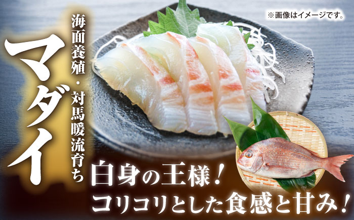 【全2回定期便】 【壱岐島直送】プレミアム海鮮4種食べ比べ刺身セット≪壱岐市≫【なかはら】 冷凍配送 刺身 小分け 産地直送 お刺身 刺し身 寿司 海鮮 [JDT082]