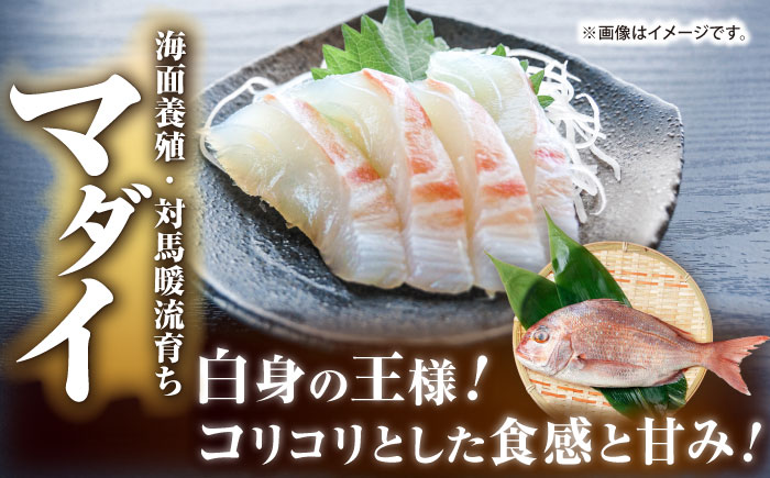 【全3回定期便】 【壱岐島直送】プレミアム海鮮4種食べ比べ刺身セット≪壱岐市≫【なかはら】 冷凍配送 刺身 小分け 産地直送 お刺身 刺し身 寿司 海鮮 [JDT083]