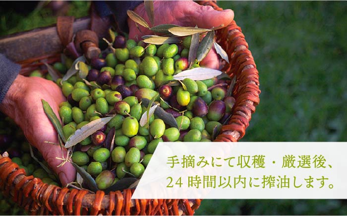 【数量限定】オリーブの新漬け（100g × 3袋） [JDU008] オリーブ おつまみ  17000 17000円