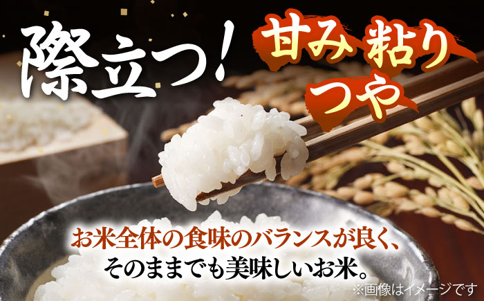 壱岐産米 つや姫 5kg《壱岐市》【壱岐フードファクトリー】 [JDW060]