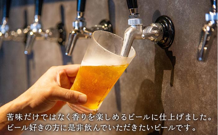 【全3回 定期便 】クラフトビール 地ビール  IPA 6本 【ISLAND BREWERY】 《 壱岐市 》[JED012] 54000 54000円