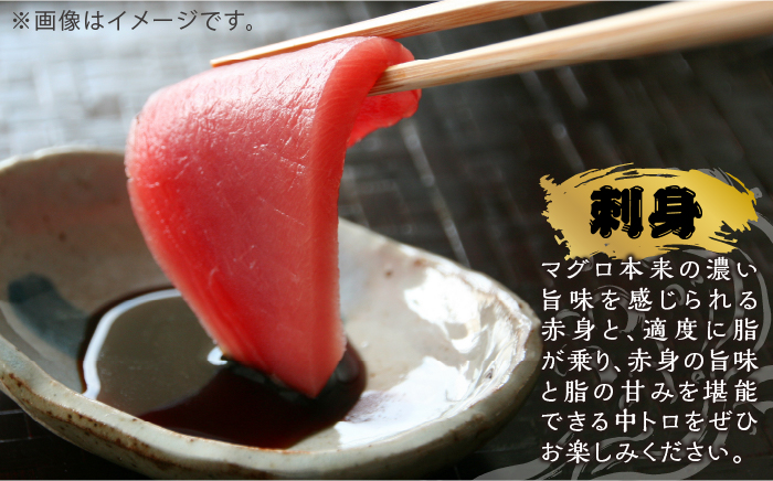 【数量限定】壱岐産 本マグロ 赤身・中トロ セット 1kg（各約500g） 《壱岐市》【大幸物産】 マグロ 鮪 刺身 中トロ   8万 [JEH020] 80000 80000円 8万円