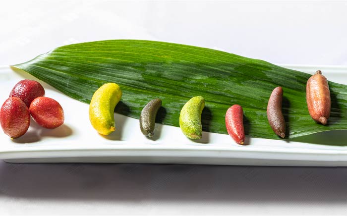 【先行予約】フィンガーライム 50g 《壱岐市》【梛ファーム】 [JEJ001] ライム フルーツ 果物 新鮮 18000 18000円