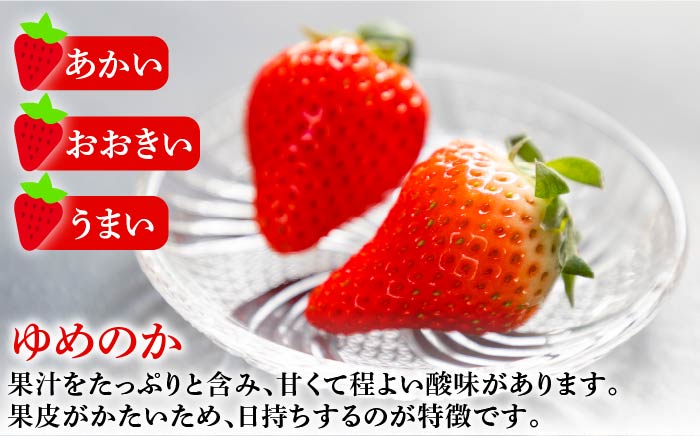 【先行予約】いちご イチゴ 苺 ゆめのか・恋みのり 計 1kg「ゆめ恋セット」【2026年2月以降順次発送】《壱岐市》【蒼花】 [JEO001] 15000 15000円