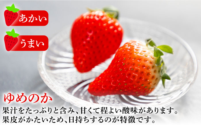 【先行予約】【全3回定期便】お徳用 いちご 1kg 苺 バラ詰め ゆめのか 恋みのり ゴロゴロ生 イチゴ 中玉小玉サイズ【2026年2月以降順次発送】《壱岐市》【蒼花】 [JEO004]