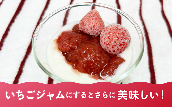 冷凍いちご 1kg 『ゆめ恋フローズンセット』《壱岐市》【蒼花】 産地直送 冷凍配送 苺 フルーツ フローズン 朝食 ゆめのか 恋みのり [JEO005]