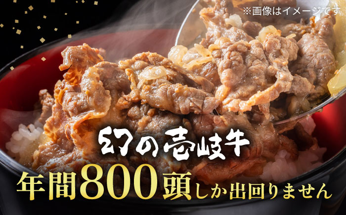 壱岐牛 切り落し （250g×4パック） 《壱岐市》【長崎フードサービス】 スネ肉 1kg 牛肉 牛 精肉 焼肉 すき焼き 19000 19000円 [JEP004] その他・加工品