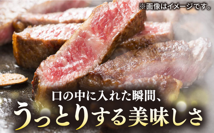 【30日間熟成】極上 壱岐牛 A5ランク Lボーンステーキ 約600～800g（雌）《 壱岐市 》【 KRAZY MEAT 】 ポーターハウス [JER007] その他・加工品