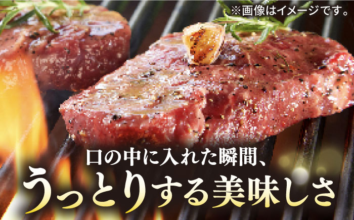 【全3回定期便】極上 壱岐牛 A5ランクステーキセット （ヒレ200g×2枚・サーロイン350g×2枚）（雌）《 壱岐市 》【 KRAZY MEAT 】 [JER024]