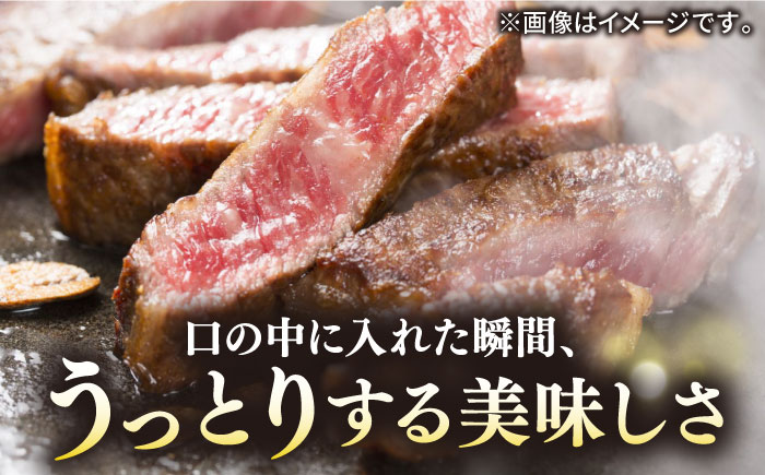 【全6回定期便】極上 壱岐牛 A5ランク サーロインステーキ 350g×2枚（雌）《 壱岐市 》【 KRAZY MEAT 】 [JER028] 306000 306000円
