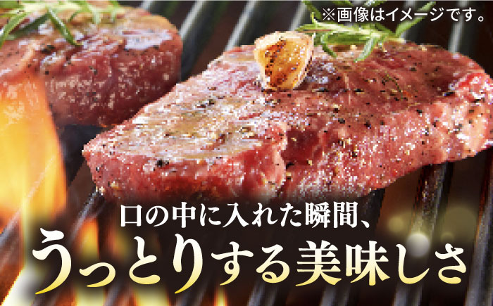 【全2回定期便】極上 壱岐牛 A5ランク ステーキセット （ヒレ200g×2枚・サーロイン350g×2枚） （雌）《 壱岐市 》【 KRAZY MEAT 】 [JER038] 200000 200000円 20万円