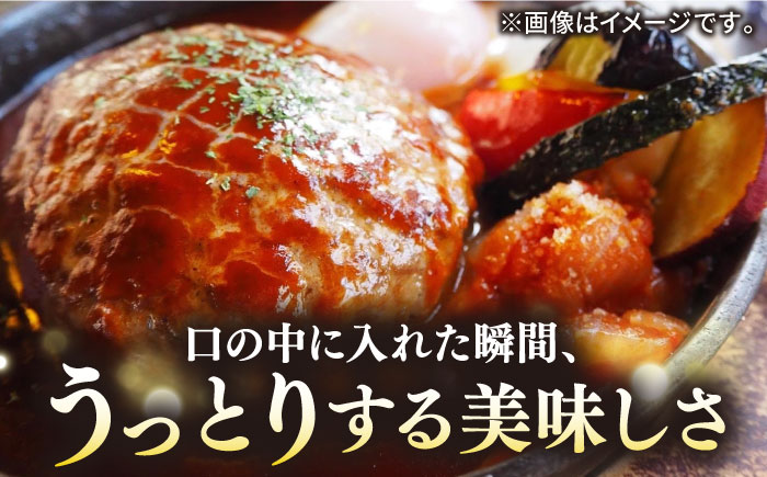 【全12回定期便】壱岐牛 A5ランク 牛ミンチ 約500g×6 《壱岐市》【KRAZY MEAT】 [JER048] 小分け ミンチ 3kg 挽き肉 ひき肉 牛肉 赤身