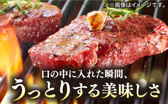 【全12回定期便】極上 壱岐牛 A5ランク ヒレステーキ（雌）200g×1枚《 壱岐市 》【 KRAZY MEAT 】 ヒレ ステーキ 和牛 肉 BBQ [JER075]