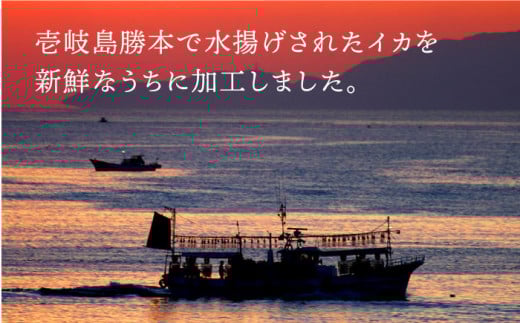 剣先イカ 刺身 （中） 3杯 《壱岐市》【株式会社マルショウ】 いか イカ 剣先いか セット おつまみ のし ギフト [JEW003] 15000 15000円