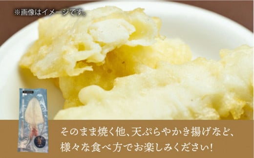 剣先イカ 一夜干 （中） 3杯 《壱岐市》【株式会社マルショウ】 いか 剣先いか セット おつまみ 一夜干し [JEW006] 17000 17000円 のし ギフト