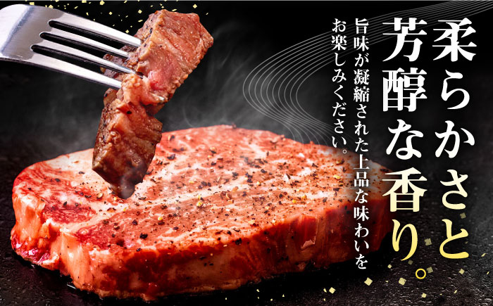 【全3回定期便】 壱岐牛 ヒレステーキ 400g（200g×2枚）［化粧箱無し］《壱岐市》【株式会社イチヤマ】 肉 牛肉 ヒレ ステーキ 焼肉 BBQ [JFE016] 93000 93000円