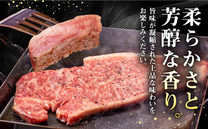 【全6回定期便】 壱岐牛 サーロインステーキ 400g（200g×2枚）《壱岐市》【株式会社イチヤマ】 肉 牛肉 サーロイン ステーキ 焼肉 BBQ [JFE029] 156000 156000円