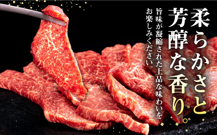 【全3回定期便】 壱岐牛 焼肉用 モモ 500g《壱岐市》【株式会社イチヤマ】 肉 牛肉 焼肉 もも BBQ [JFE065] 72000 72000円