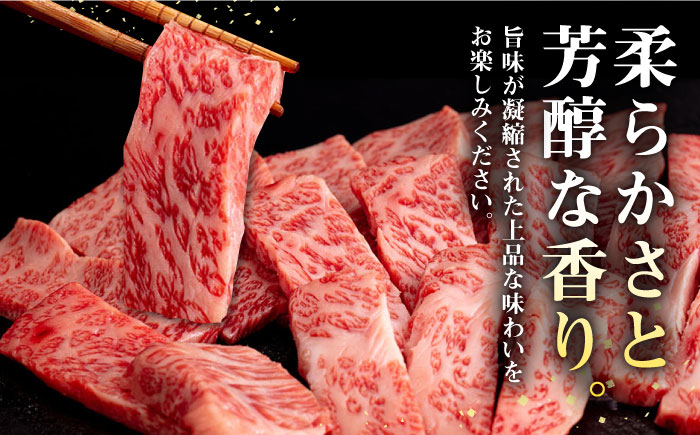 【全3回定期便】 壱岐牛 焼肉用 モモ・バラ（カルビ） 500g《壱岐市》【株式会社イチヤマ】 肉 牛肉 焼肉 モモ バラ カルビ BBQ [JFE066] 63000 63000円