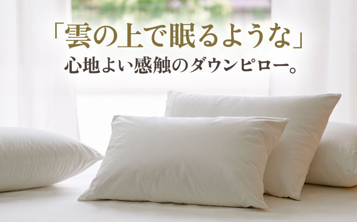 【高島屋選定品】〈富士新幸九州〉「GuuG」50×70cm ダウンピロー アップサイクル ダウン50%《壱岐市》[JFJ043]