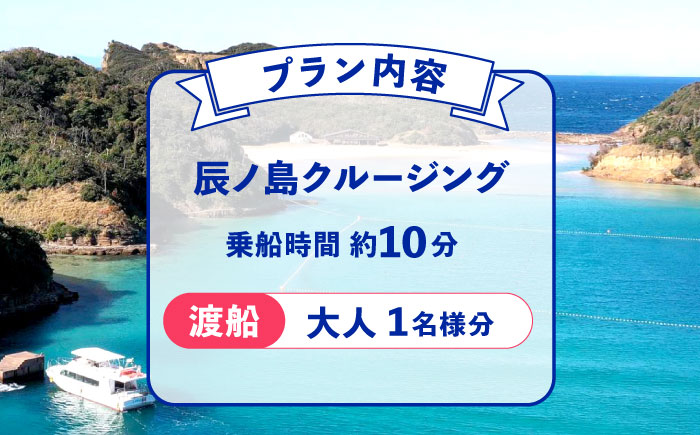 辰ノ島クルージング(辰ノ島渡船)大人1名様分《壱岐市》【勝本町漁業協同組合】 [JFN001] 5000 5000円 5千円