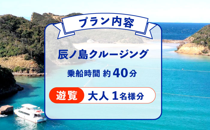 辰ノ島クルージング(辰ノ島遊覧)大人1名様分《壱岐市》【勝本町漁業協同組合】 [JFN002] 8000 8000円 8千円
