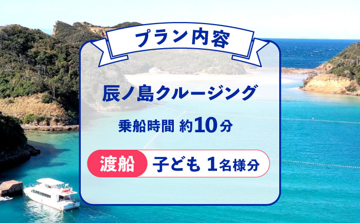辰ノ島クルージング(辰ノ島渡船)子ども1名様分《壱岐市》【勝本町漁業協同組合】 [JFN004] 3000 3000円 3千円
