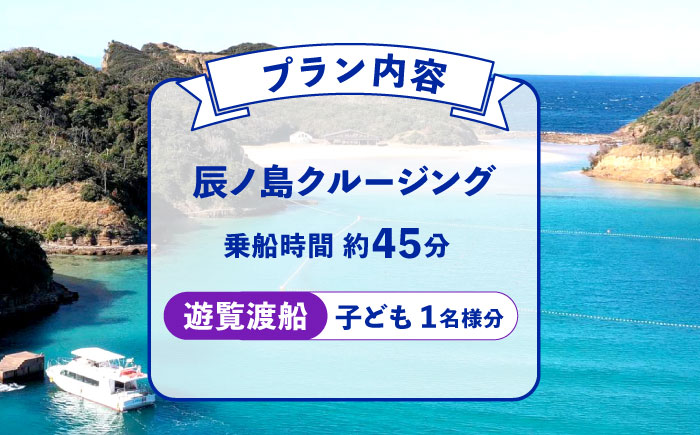 辰ノ島クルージング(辰ノ島遊覧渡船)子ども1名様分《壱岐市》【勝本町漁業協同組合】 [JFN006] 6000 6000円 6千円