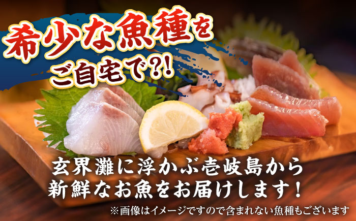 【厳選】 壱岐島 贅沢刺身セット4～5人前（80g×6パック）《壱岐市》【あかりや】 冷凍配送 刺し盛り 刺盛り 鮮魚 海鮮 海鮮丼 お造り 小分け タイ マグロ カツオ [JFO001]