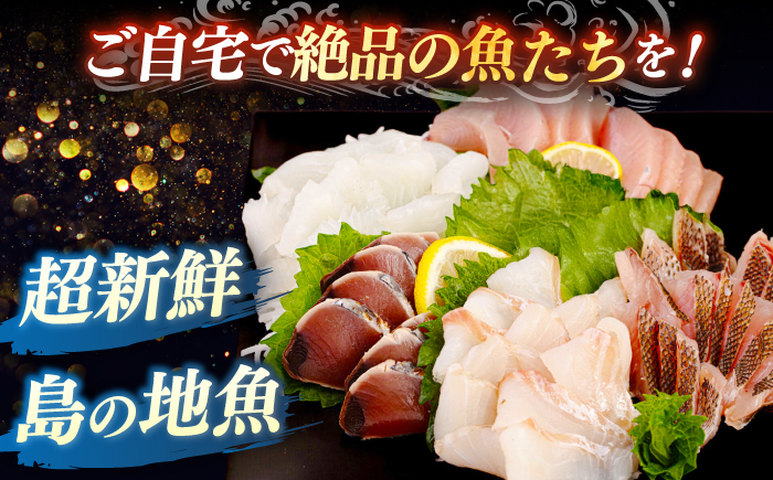 【全6回定期便】 【勝本漁港直送】壱岐島の刺身盛りセット ≪壱岐市≫【あかりや】 冷凍配送 刺身 小分け 産地直送 66000円 お刺身 刺し身 寿司 海鮮 [JFO007]