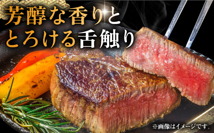 壱岐牛 ヒレ シャトーブリアン ステーキ 120g×2枚 《壱岐市》【中津留】 ヒレ ステーキ 焼肉 BBQ 牛肉 赤身 [JFS005] 33000 33000円