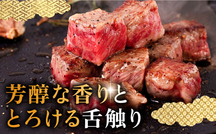 【全6回定期便】壱岐牛 サーロイン ブロック 3kg 《壱岐市》【中津留】 サーロイン ステーキ BBQ 焼肉 牛肉 赤身 [JFS028] 1146000 1146000円