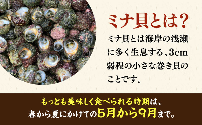 【年内発送】ボイル ミナ貝 450g（殻付き300g・殻剥き150g）《壱岐市》【鈴の海庭】 貝 魚貝 海産物 ボイル 刺身 小分け おつまみ サザエ ニナ貝 シッタカ [JFV001]