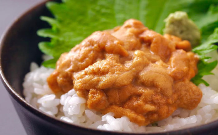 【先行予約】生ウニ 60g 【2026年6月以降順次発送】《壱岐市》【丸昇水産】 うに 雲丹 ウニ 希少 産地直送 ミョウバン不使用 無添加 [JFZ005]