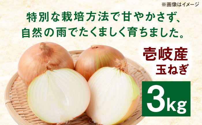 壱岐市産 玉ねぎ 3kg 《壱岐市》【ようさんのとまと】 たまねぎ タマネギ 玉ねぎ 玉葱 オニオン 国産 野菜 旬 [JHC003]