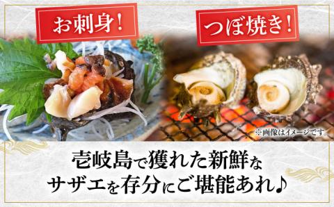 サザエ 2kg セット 《壱岐市》【マルショウ水産】[JBB002] 25000 25000円