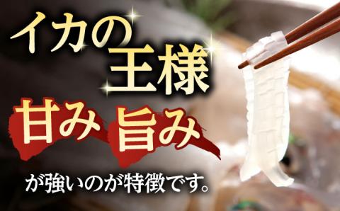 アオリイカ 700g前後 《壱岐市》【ヤマグチ】[JCG018] いか あおりいか 16000 16000円