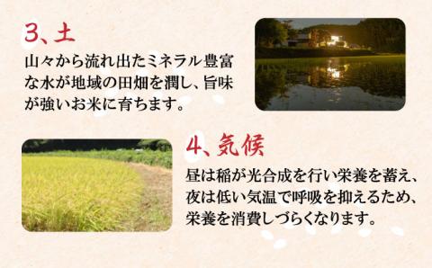 壱岐産 山信米 5kg《壱岐市》【イキテイク合同会社】 穀物 [JFG001] 25000 25000円