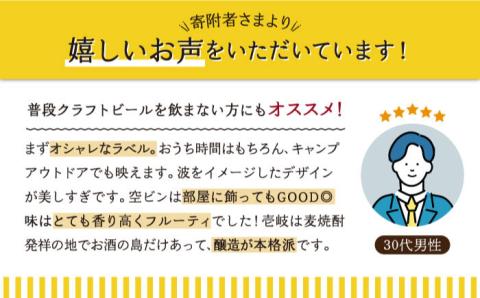 【全3回定期便】クラフトビール 330ml 6種（3種類×2本）《壱岐市》【ISLAND BREWERY】 《 壱岐市 》[JED018] 飲み比べセット 酒 アルコール ビール セット 詰め合わせ 定期便 54000 54000円