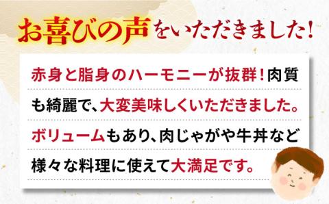 《A4～A5ランク》壱岐牛 切り落とし 500g 《壱岐市》【壱岐市農業協同組合】[JBO016] 肉 牛肉 切落し すき焼き しゃぶしゃぶ 細切れ 赤身 のし プレゼント 13000円