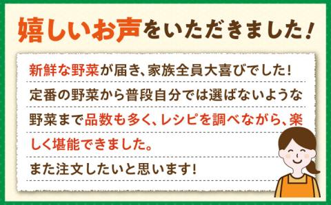【全3回定期便】旬の野菜セット 7品 [JBO044] 野菜 やさい 旬 セット 詰め合わせ 30000 30000円