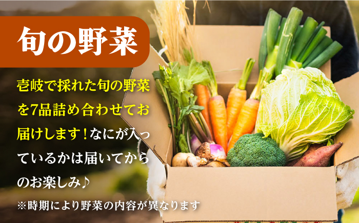 【全4回定期便】《A4～A5ランク》壱岐牛と旬の野菜定期便《壱岐市》【壱岐市農業協同組合】 [JBO077] 《A4～A5ランク》壱岐牛 肉 黒毛和牛 野菜 旬 詰め合わせ 贅沢 BBQ 99000円