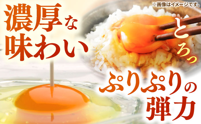【全3回定期便】特選素直な恋たまご60個入り[JAP003] たまご 60個 鶏卵 玉子 大容量 国産 もみじ 卵かけご飯 たまごかけご飯 すき焼き 目玉焼き 39000 39000円