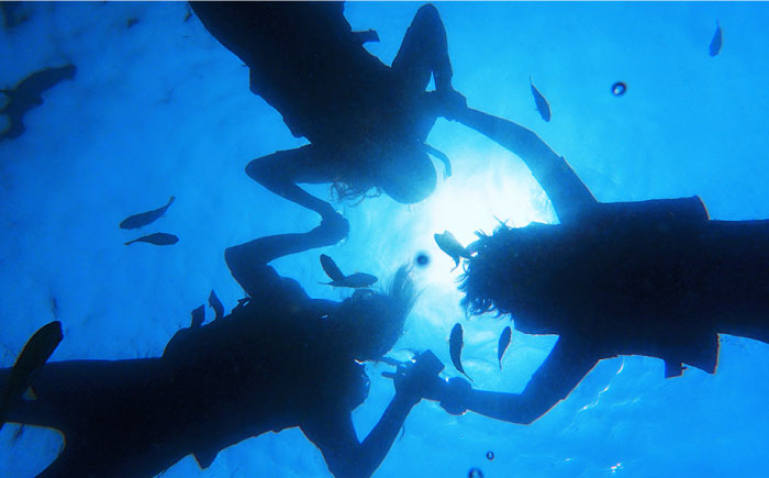 ダイビング  体験  錦浜 《壱岐市》【シーガルイン】[JAB002] 旅行 海 アウトドア ダイビング 33000 33000円