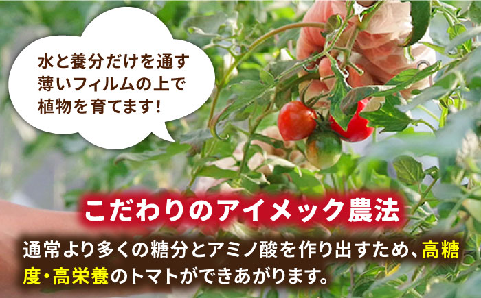 あま壱岐 ミディトマト 約48粒  《壱岐市》【壱岐の潮風】 [JAE009] トマト ミディトマト 野菜 ギフト プレゼント 贈り物 15000 15000円