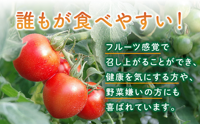 厳選!高糖度 あま壱岐 トマト 約600~700g 《壱岐市》【壱岐の潮風】 トマト 野菜 完熟 高糖度 ギフト プレゼント 贈り物 産地直送 常温配送 19000 19000円 [JAE010]